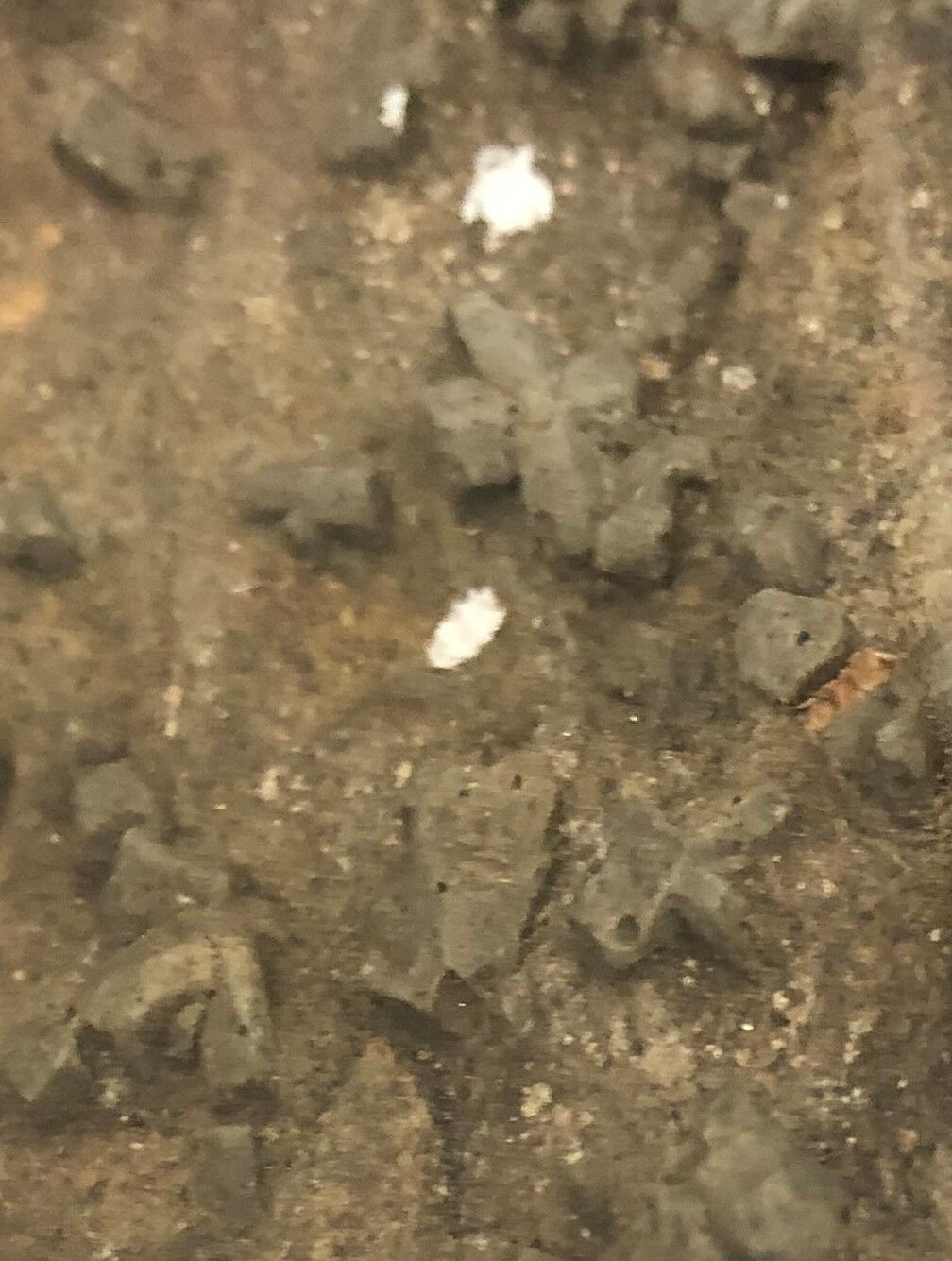 fairy stone closeup
